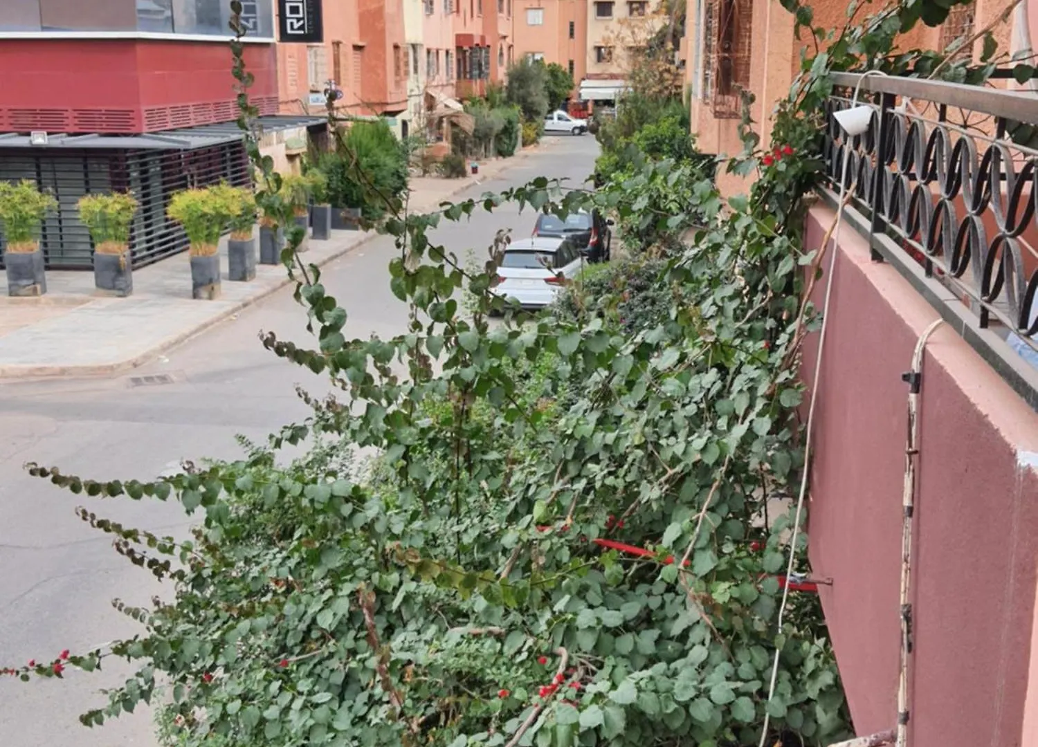 Marrakech Plus Marrakesh